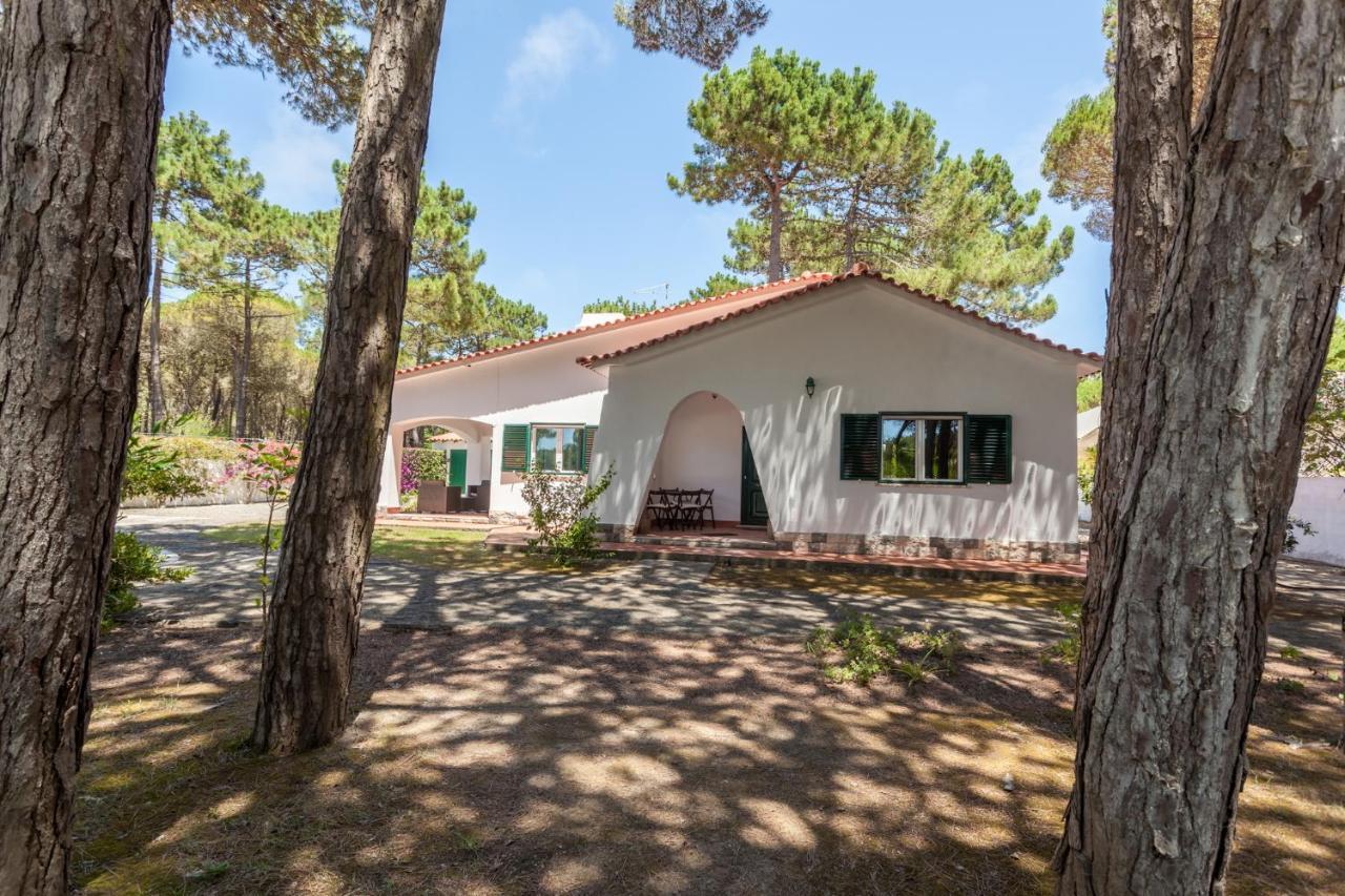 Villa Ocean, Pines And Mountain - Renovated February 2025 - Ac Colares Exterior foto