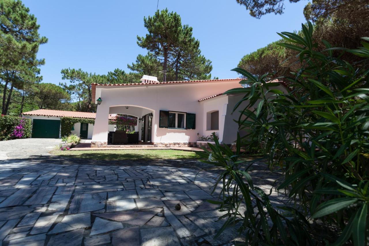 Villa Ocean, Pines And Mountain - Renovated February 2025 - Ac Colares Exterior foto