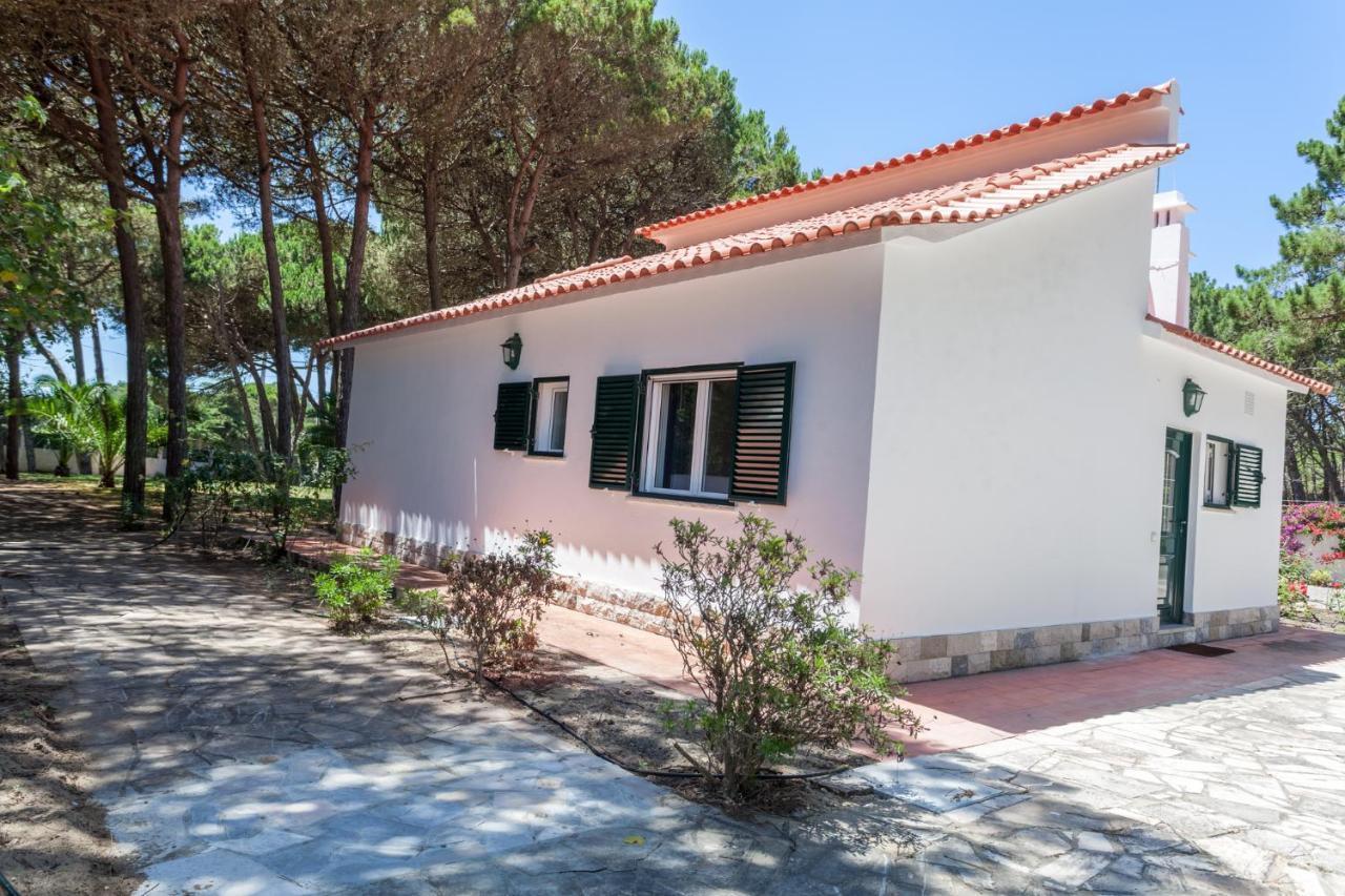 Villa Ocean, Pines And Mountain - Renovated February 2025 - Ac Colares Exterior foto