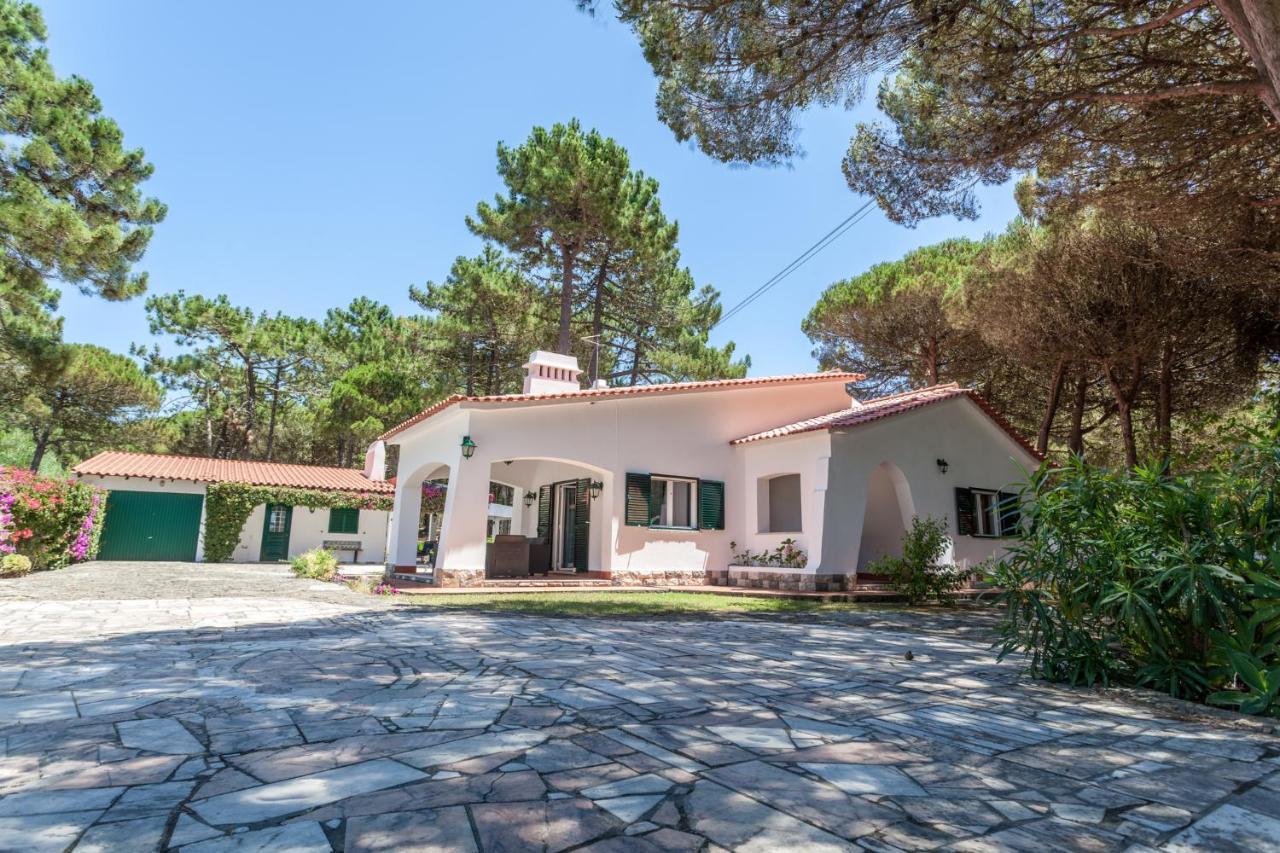 Villa Ocean, Pines And Mountain - Renovated February 2025 - Ac Colares Exterior foto
