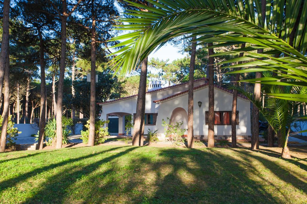 Villa Ocean, Pines And Mountain - Renovated February 2025 - Ac Colares Exterior foto