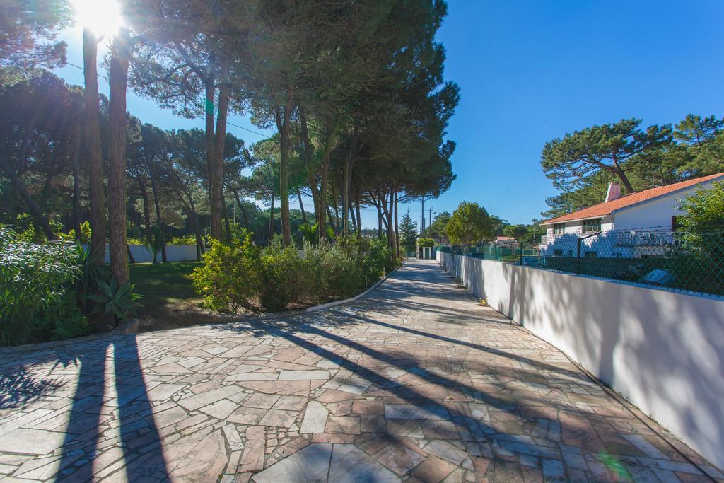 Villa Ocean, Pines And Mountain - Renovated February 2025 - Ac Colares Exterior foto